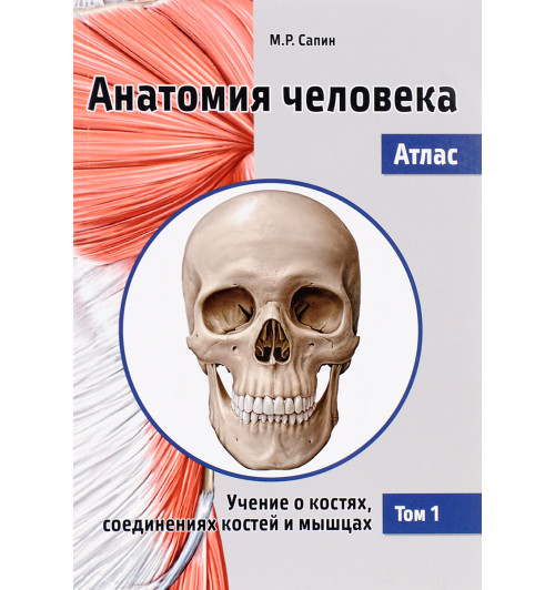 Сапин Михаил Романович: Анатомия человека. Атлас. В 3 томах. Том 1. Учение о костях, соединениях костей и мышцах. Учебное пособие