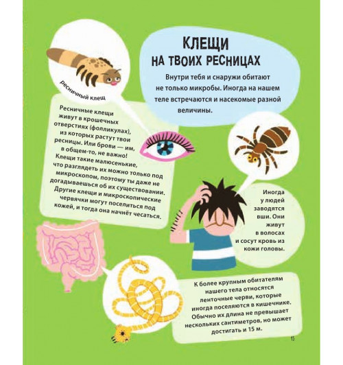 Руни Энн: Тело человека. 500 удивительных фактов-13