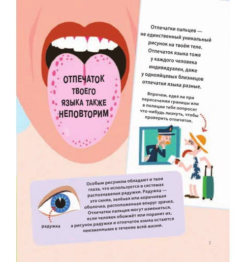 Руни Энн: Тело человека. 500 удивительных фактов-5