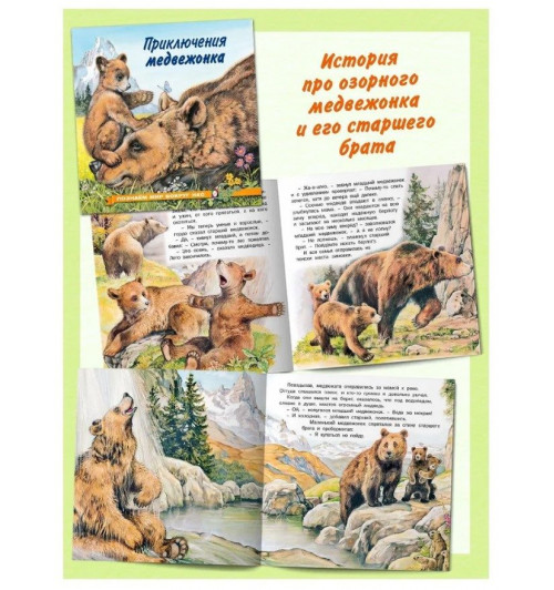 Рассказы о животных из серии "Познаем мир вокруг нас" Книги для детей Внеклассное чтение | Гурина Ирина Валерьевна-13