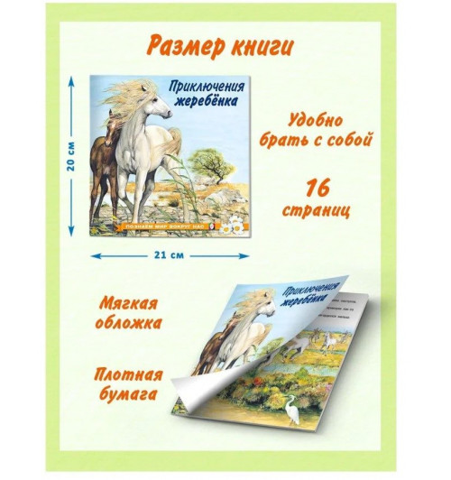 Рассказы о животных из серии "Познаем мир вокруг нас" Книги для детей Внеклассное чтение | Гурина Ирина Валерьевна-8