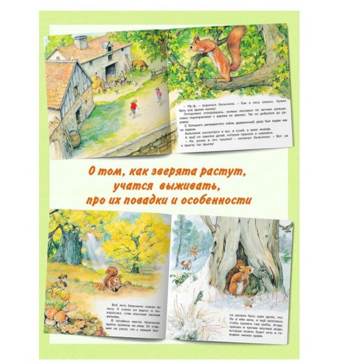 Рассказы о животных из серии "Познаем мир вокруг нас" Книги для детей Внеклассное чтение | Гурина Ирина Валерьевна-1