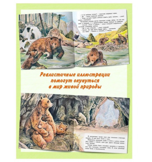 Рассказы о животных из серии "Познаем мир вокруг нас" Книги для детей Внеклассное чтение | Гурина Ирина Валерьевна-3