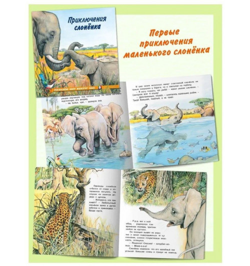 Рассказы о животных из серии "Познаем мир вокруг нас" Книги для детей Внеклассное чтение | Гурина Ирина Валерьевна-2