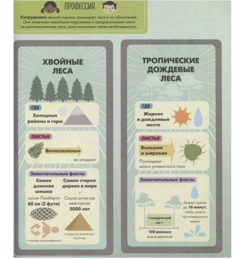 Сюзан Мартино: Увлекательная ГеоГрафика-7