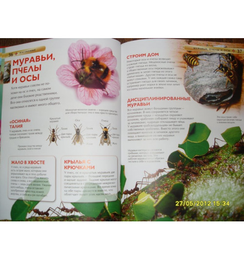 Рози Диккинс: Насекомые.-11