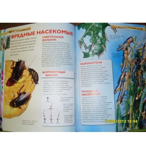 Рози Диккинс: Насекомые.-12