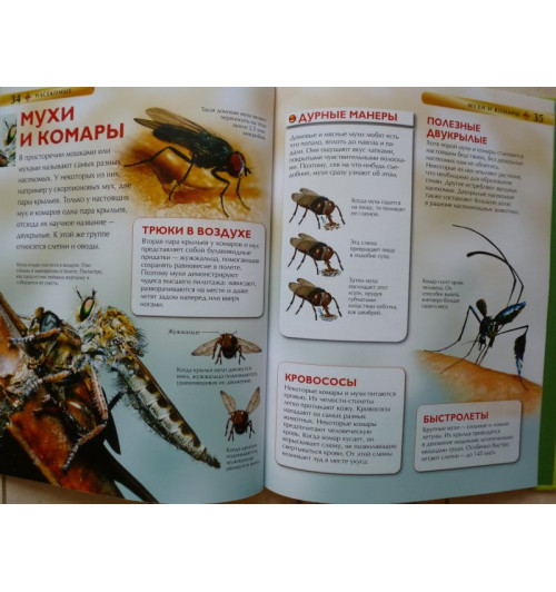 Рози Диккинс: Насекомые.-20