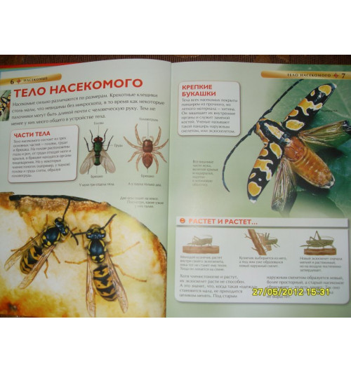 Рози Диккинс: Насекомые.-3