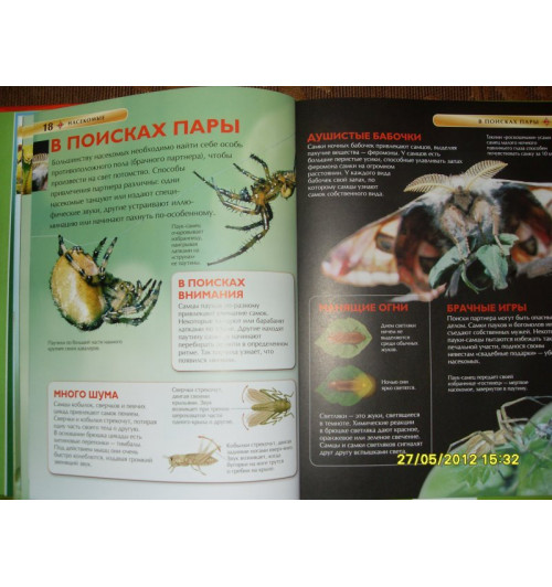 Рози Диккинс: Насекомые.-7