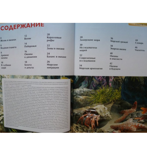 Маргарет Хайнс: Моря и океаны-20