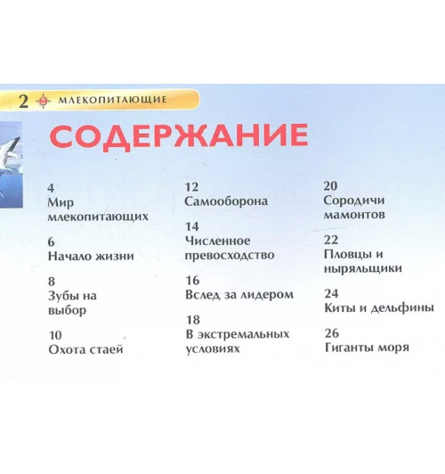 Дэвид Берни: Млекопитающие-2