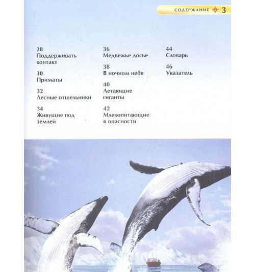Дэвид Берни: Млекопитающие-1