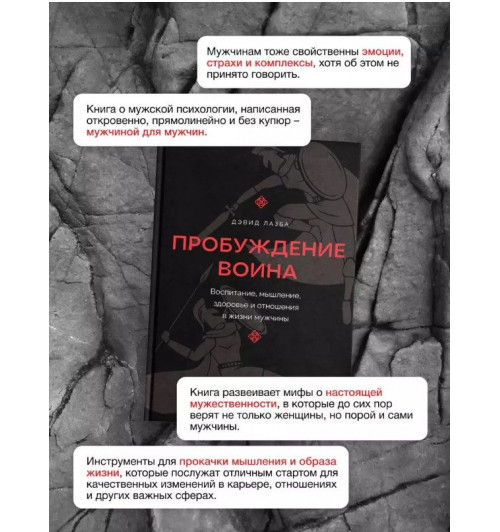 Дэвид Лазба: Пробуждение воина. Воспитание, мышление, здоровье и отношения в жизни мужчины-4