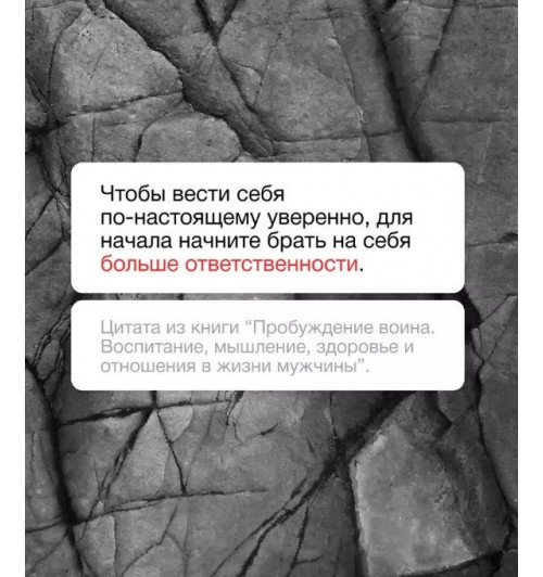 Дэвид Лазба: Пробуждение воина. Воспитание, мышление, здоровье и отношения в жизни мужчины-5