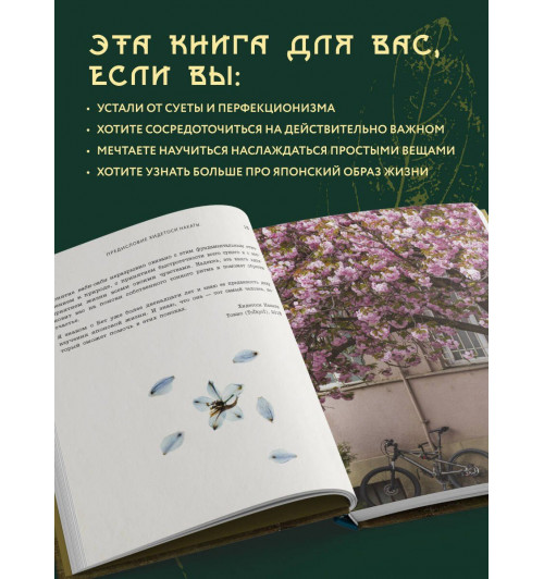 Бет Кемптон: Wabi Sabi. Японские секреты истинного счастья в неидеальном мире-3