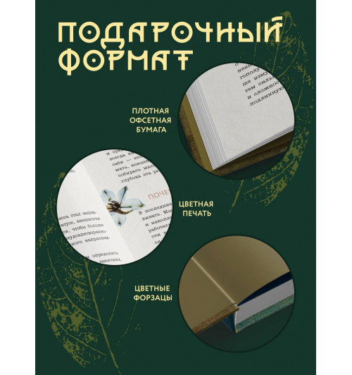 Бет Кемптон: Wabi Sabi. Японские секреты истинного счастья в неидеальном мире-4