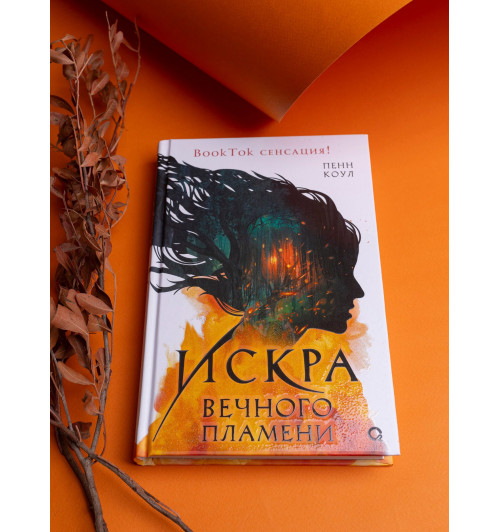 Пенн Коул: Искра вечного пламени-6