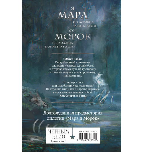 Лия Арден: Мара и Морок. 500 лет назад (Книга 3)-1