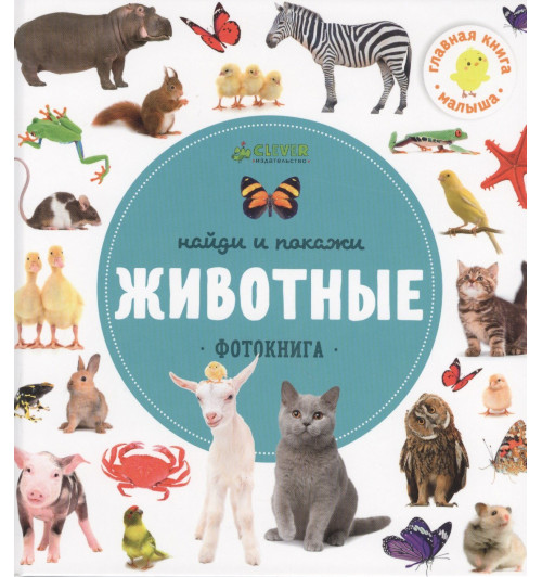 Найди и покажи. Фотокниги. Животные Найди и покажи. Фотокниги. Животные-0