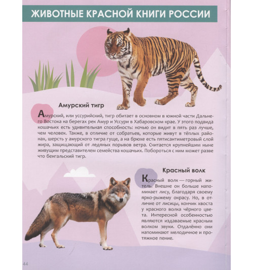 А. Лихачева: Животные. Энциклопедия для школьника 7+. Познавательная, развивающая книга для детей. Подарок ребенку-4