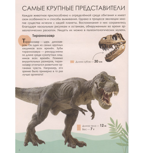 А. Лихачева: Животные. Энциклопедия для школьника 7+. Познавательная, развивающая книга для детей. Подарок ребенку-6