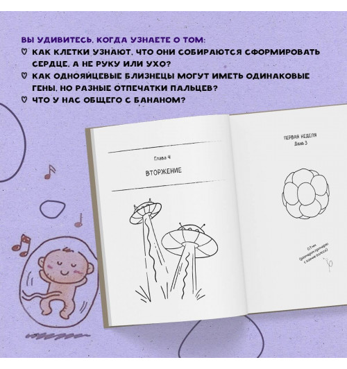 Катарина Вестре: 280 дней до вашего рождения. Репортаж о том, что вы забыли, находясь в эпицентре событий (мягкая обложка)-7
