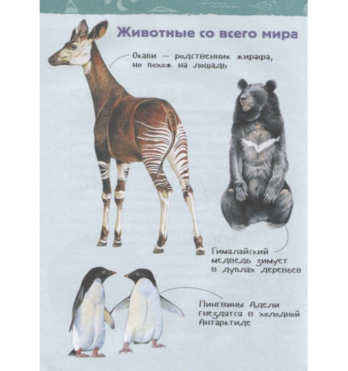 Инна Сергеева: Планета Земля. Энциклопедия для детского сада-4