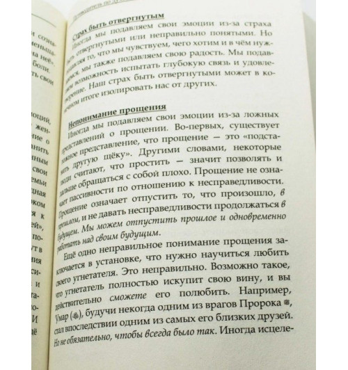  Ясмин Моджахед: Исцеление пустоты. Путеводитель по духовному и эмоциональному благополучию-4