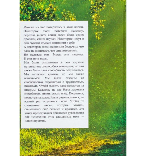  Ясмин Моджахед: Исцеление пустоты. Путеводитель по духовному и эмоциональному благополучию-2