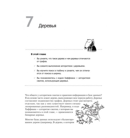 Адитья Бхаргава: Грокаем алгоритмы-15
