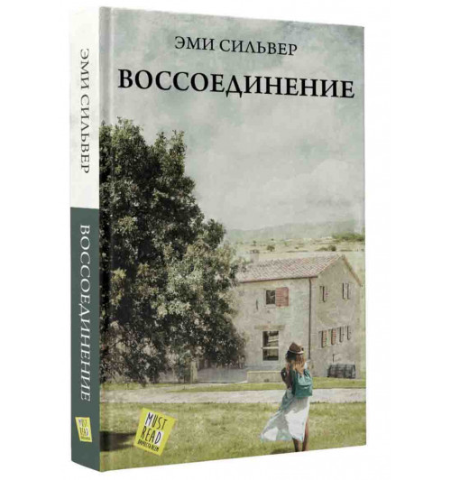 Сильвер Эми: Воссоединение