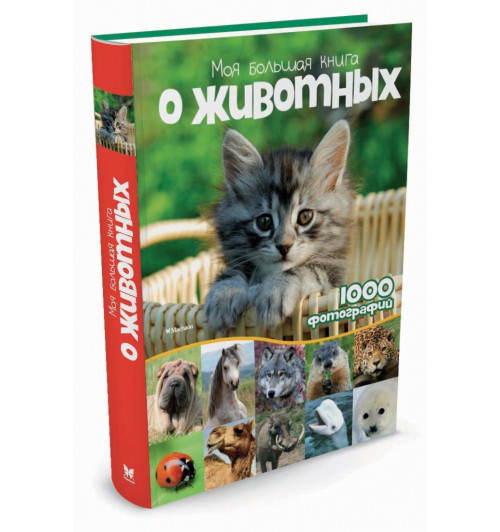 Куйе Наталья: Моя большая книга о животных 