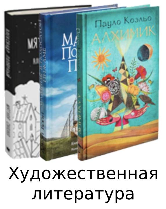 Художественная литература